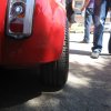 Montevago 2010 (326)
